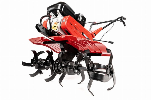CEDRUSGL900_00.jpg