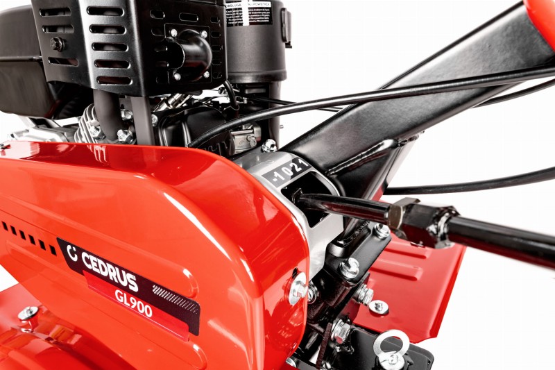CEDRUSGL900_15.jpg