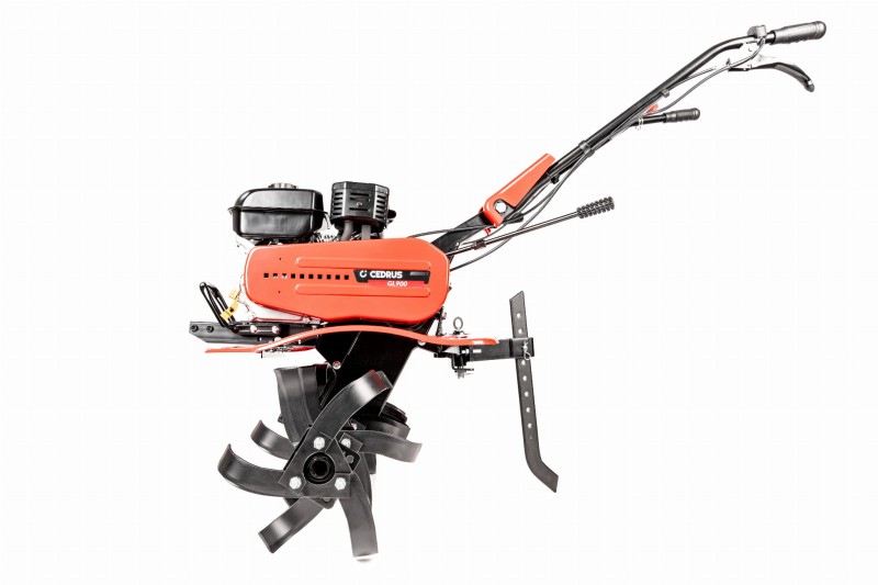CEDRUSGL900_08.jpg