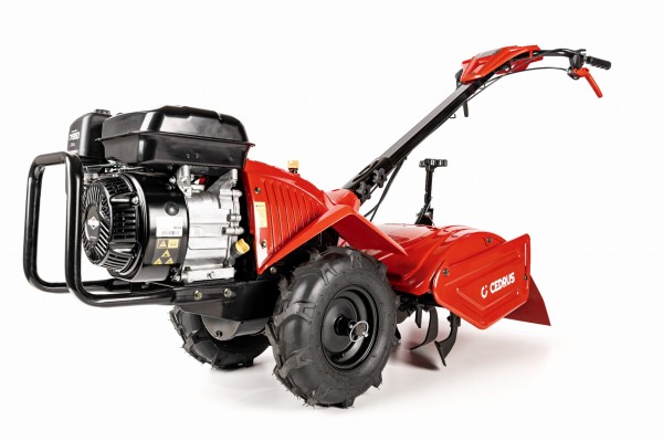 CEDRUSGLX-GT65-2BS_01.jpg