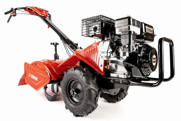 CEDRUSGLX-GT65-2L_03.jpg