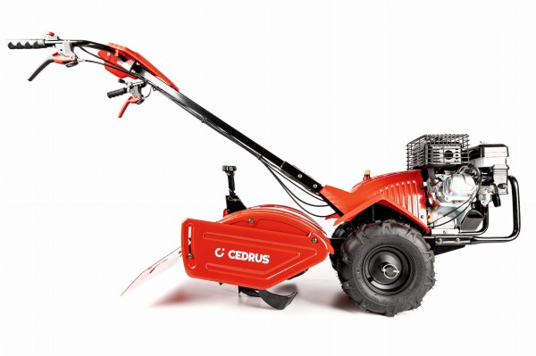 CEDRUSGLX-GT65-2L_04.jpg