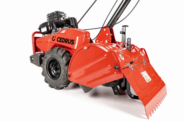 CEDRUSGL03PRO-BS_07.jpg