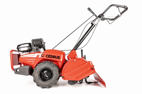 CEDRUSGL03PRO-BS_08.jpg