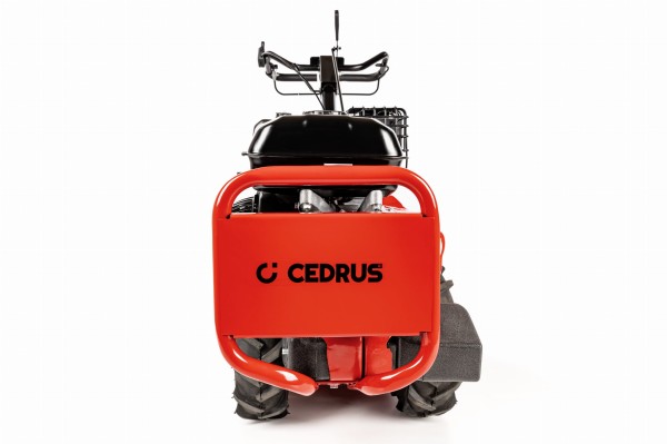 CEDRUSGL03PRO-BS_02.jpg