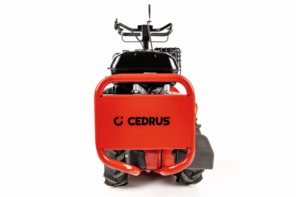 CEDRUSGL03PRO-BS_02.jpg