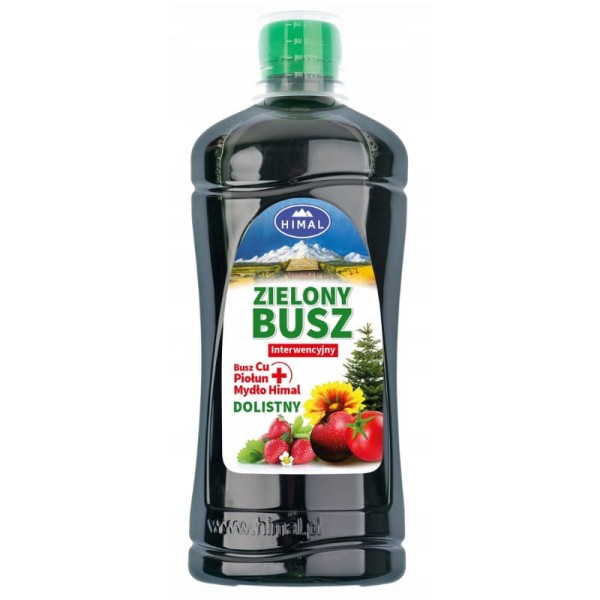 zielony-busz.jpg