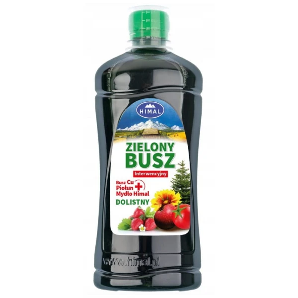 zielony-busz.jpg