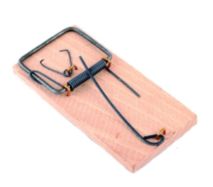 Łapka na myszy drewniana