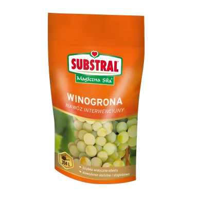 1328101_Winogrona.png.webp