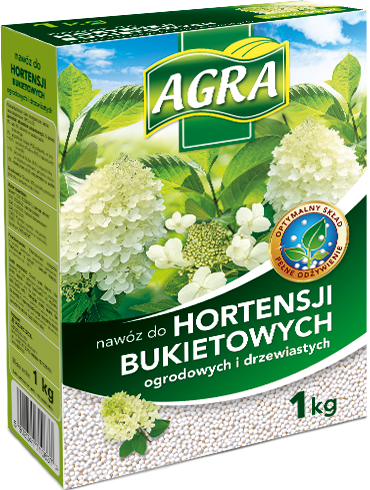 083AA-Agra-hortensja-bukiet-1kg-wiz_370 (1).png