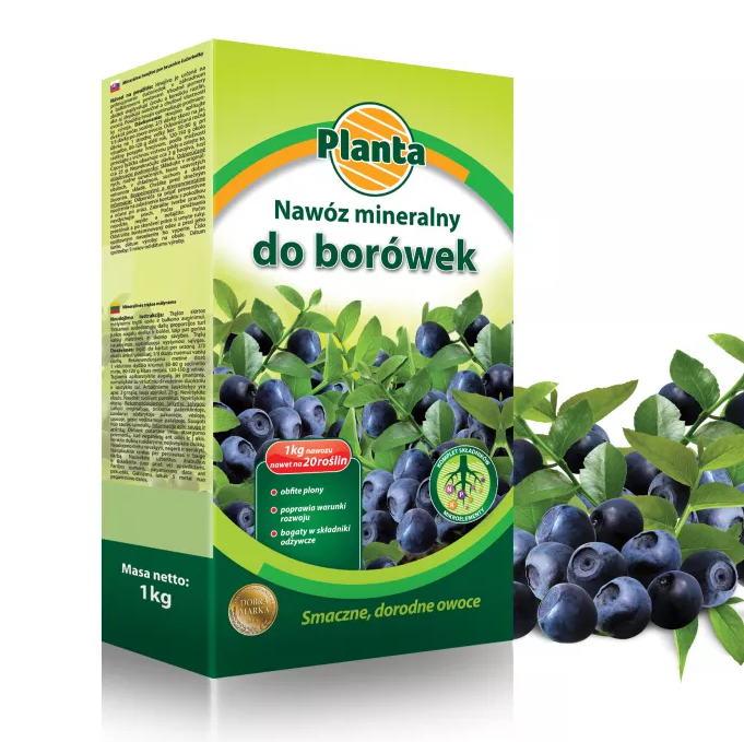 planta borow.png