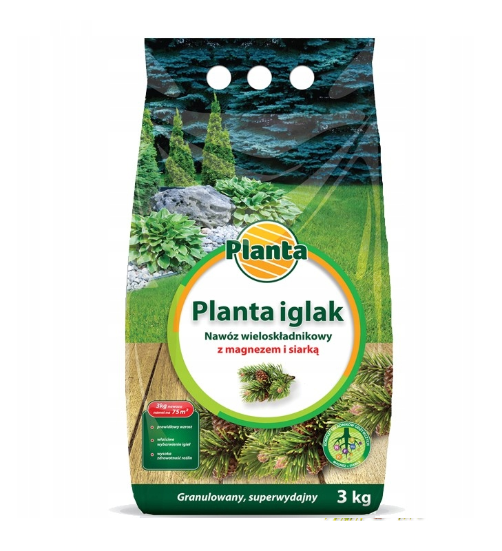planta igl si.png