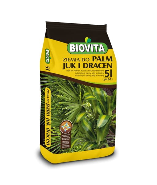 ziemia-do-palm-juk-i-dracen.jpg