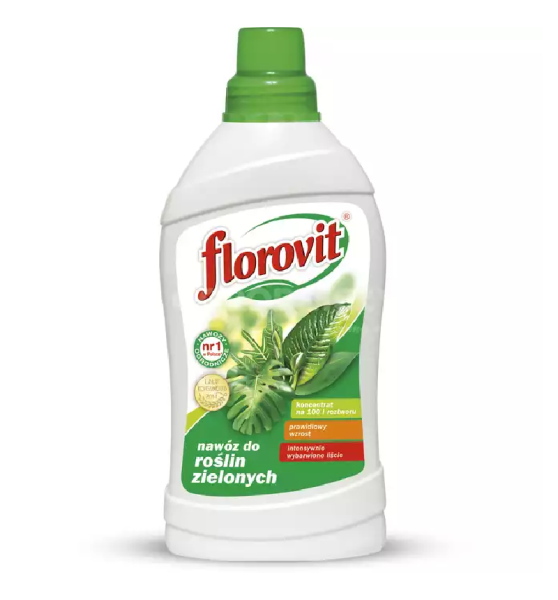 rośliny ziel.png