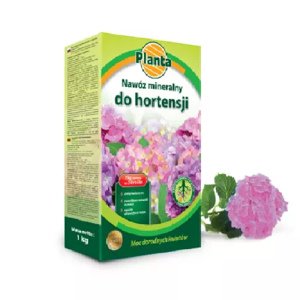 hortensja.png