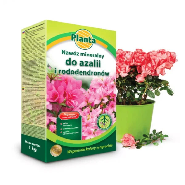 AZALIA.png