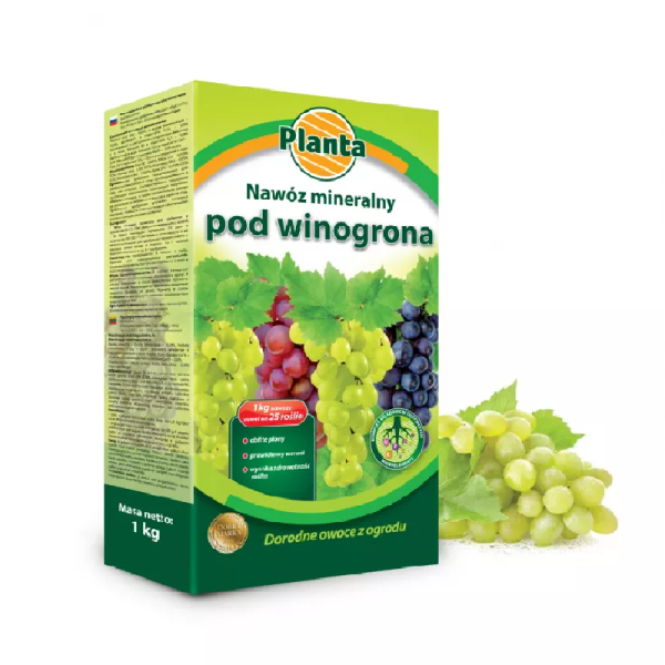 wino.png