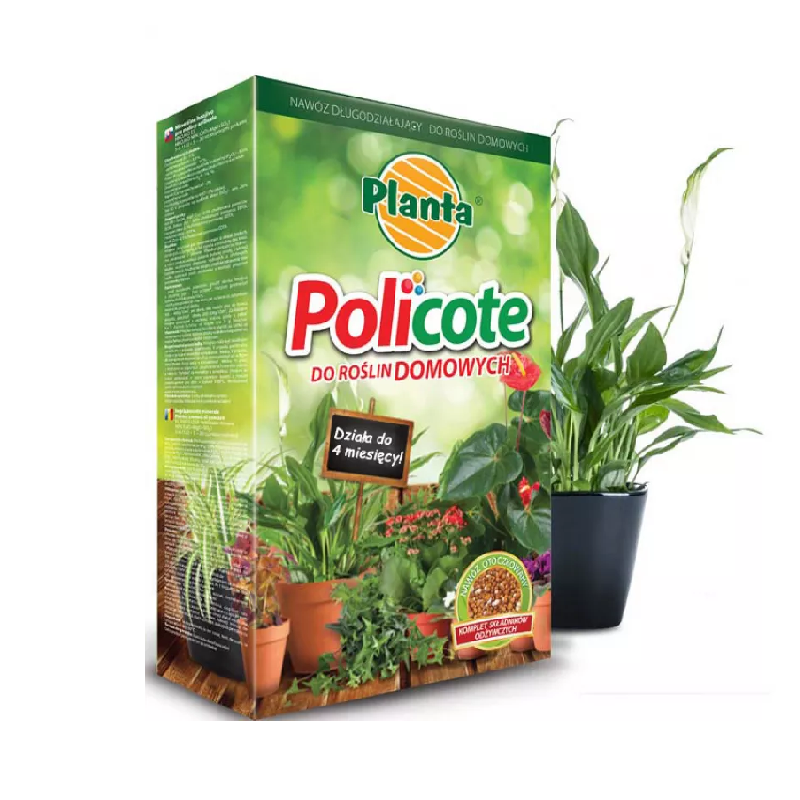 policote zielone.png