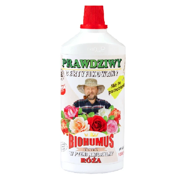róża.png