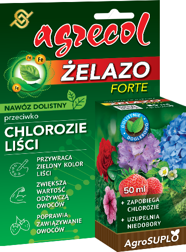 żelazo forte 2.png