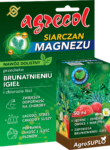 siarczan magnezu.png